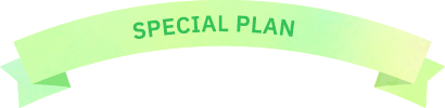 SPECIAL PLAN